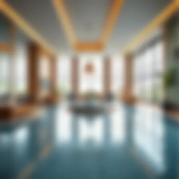 Amenities and leisure spaces within Binghatti Orchid