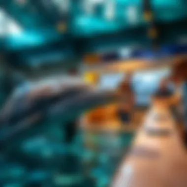 Educational program at Dolphin Park showcasing marine life