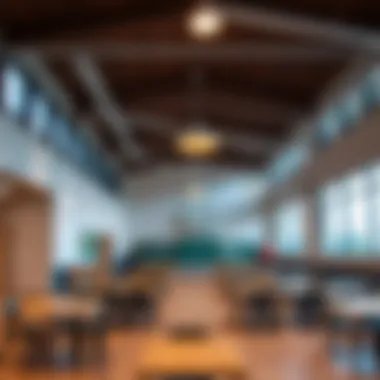 Extracurricular Options in Dubai Land Schools Extracurricular facilities at a school in Dubai Land including sports and arts