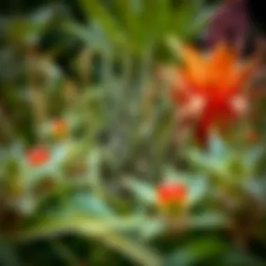 Diverse plant life showcasing biodiversity