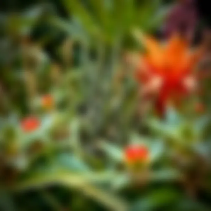 Diverse plant life showcasing biodiversity