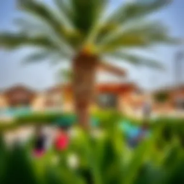 A vibrant community park in Cove Dubai, showcasing amenities and leisure activities