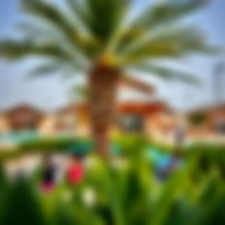 A vibrant community park in Cove Dubai, showcasing amenities and leisure activities