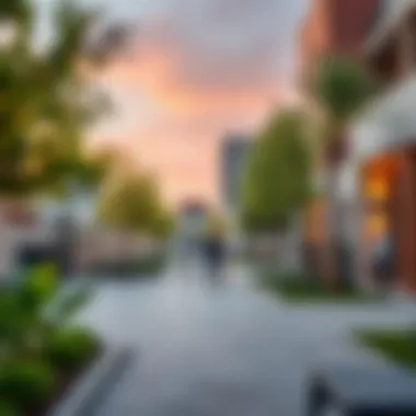 Community Spaces in Hadley Heights Vibrant community spaces and parks in Hadley Heights