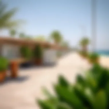 Eco-friendly initiatives at La Mer Beach including recycling stations and green spaces