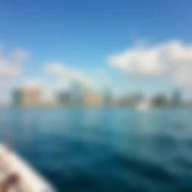 Stunning Skyline of Bluewaters Island Breathtaking skyline of Bluewaters Island