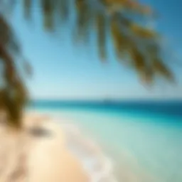 Scenic view of a serene beach in Dubai with clear blue waters