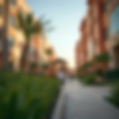 Community amenities including parks and playgrounds in Remraam