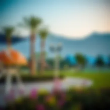 Recreational park in Al Nahda highlighting outdoor lifestyle amenities