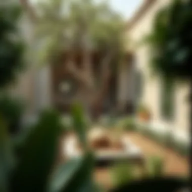 Modern Approaches to Islamic Garden Aesthetics A contemporary interpretation of an Islamic garden