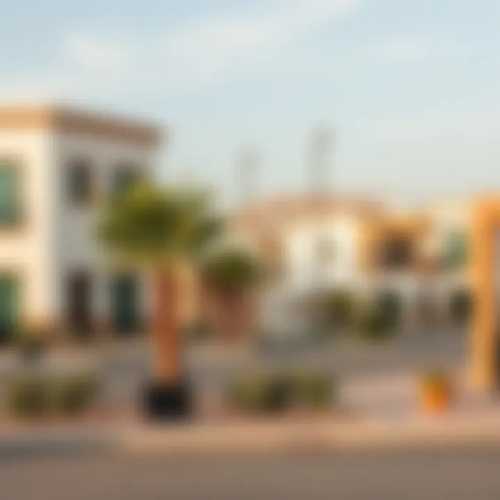 Neighborhood view of Abu Hail demonstrating community lifestyle