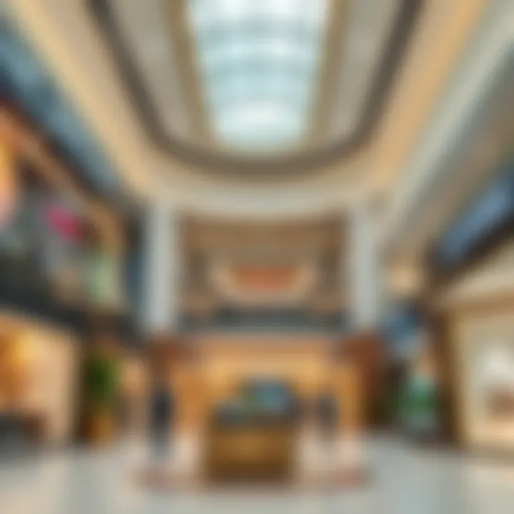 Luxury brand stores elegantly displayed within the mall