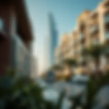 Impact of Visa Status on Real Estate Investments Implications of Visa Status