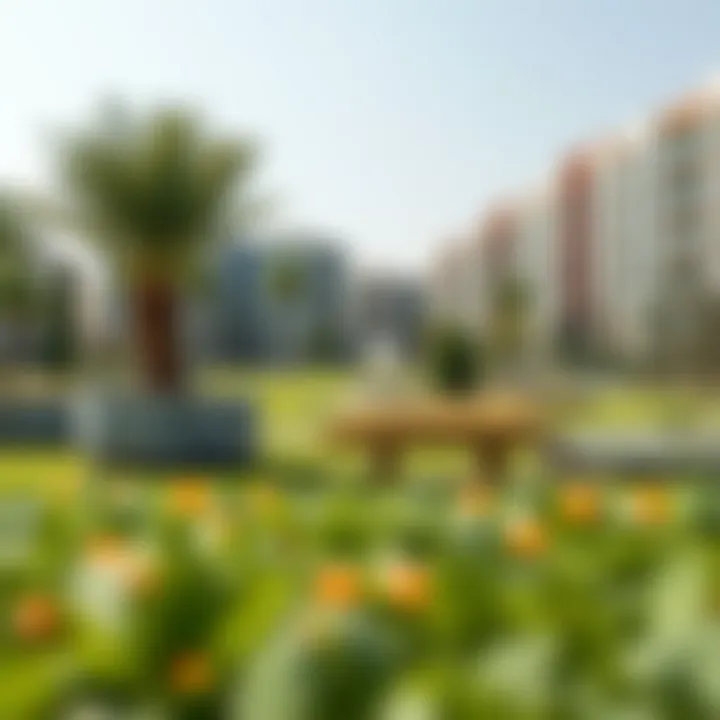 Community Park Offering Green Spaces in NMC Al Majaz 1 Vibrant community park in NMC Al Majaz 1 with green spaces