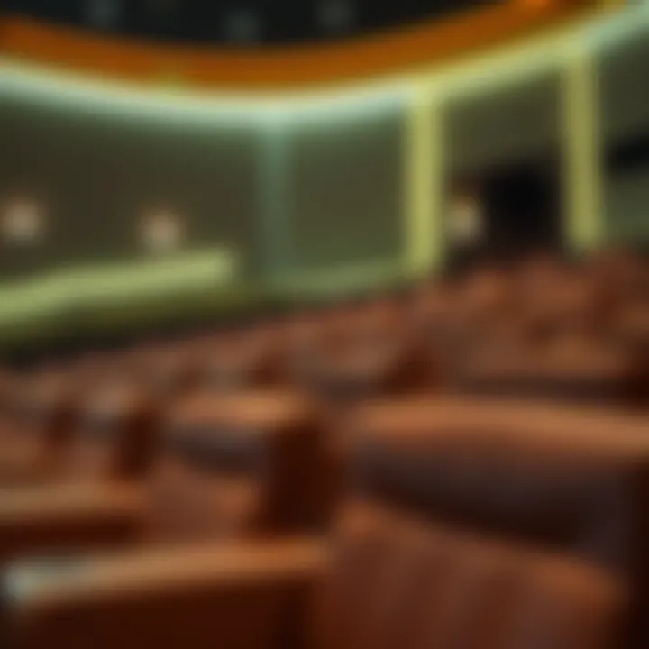 Interior of Roxy Cinema showcasing luxurious seating