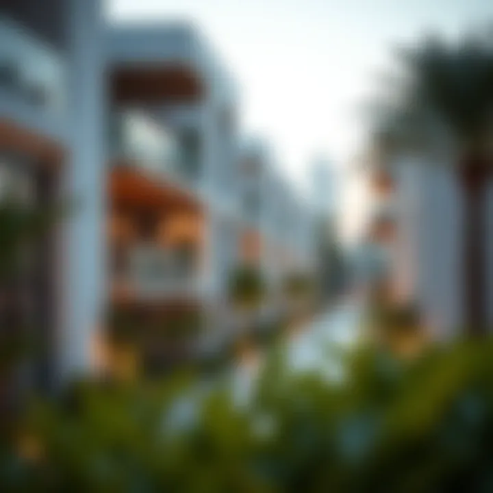 Tranquil residential area in Dubai showcasing modern architecture