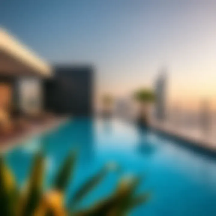 Sky View Dubai rooftop pool with panoramic city views