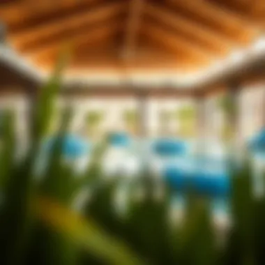 Leisure Facilities in Springs Meadows Leisure facilities in Springs Meadows, illustrating parks, pools, and recreational spaces.