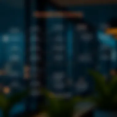 Visa Application Journey Detailed flowchart of the freelance visa application process