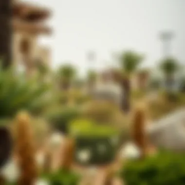 Visual representation of local flora influenced by weather conditions