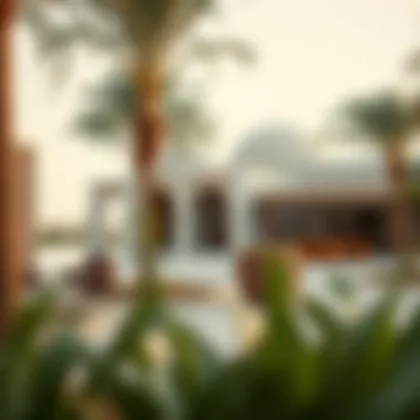 Cultural Richness at Urban Oasis Cultural integration in the Urban Oasis environment