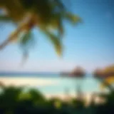 Stunning landscape of a tropical beach in a visa-free destination.